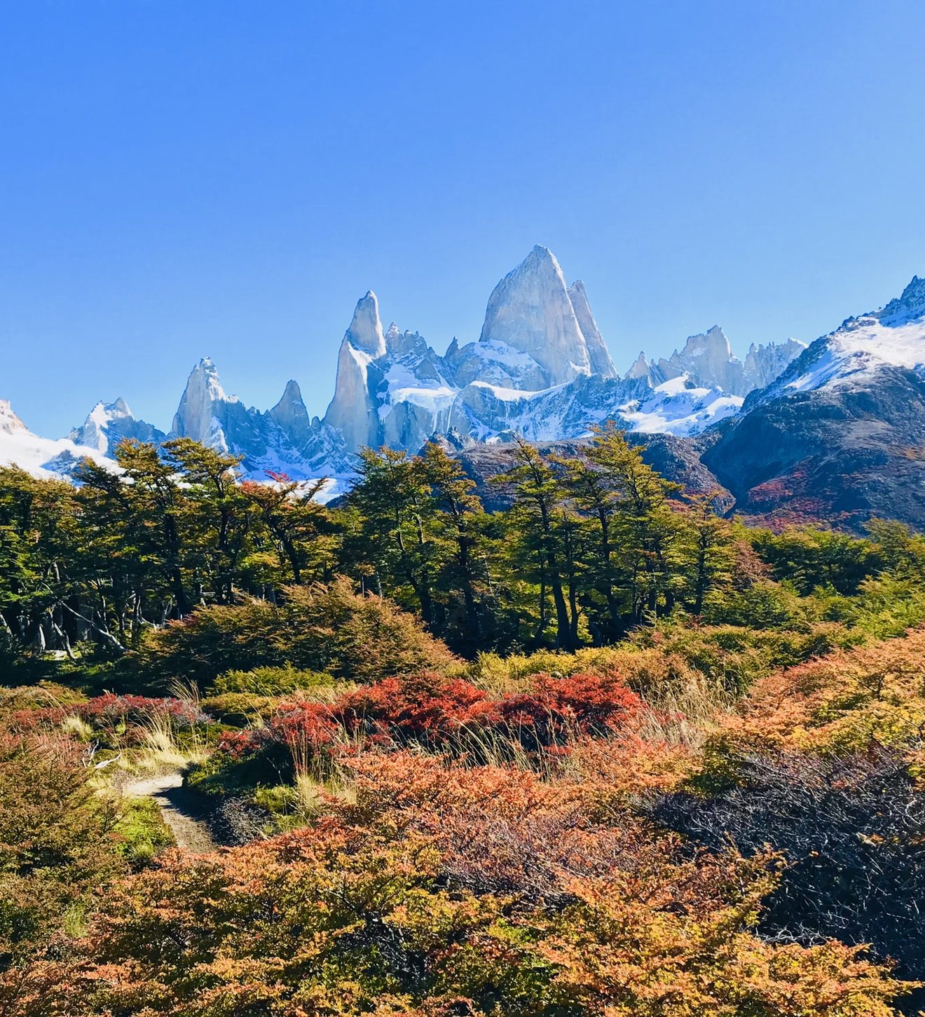 torres-del-paine-aspect-ratio-382-420 rondreis argentinie torres del paine