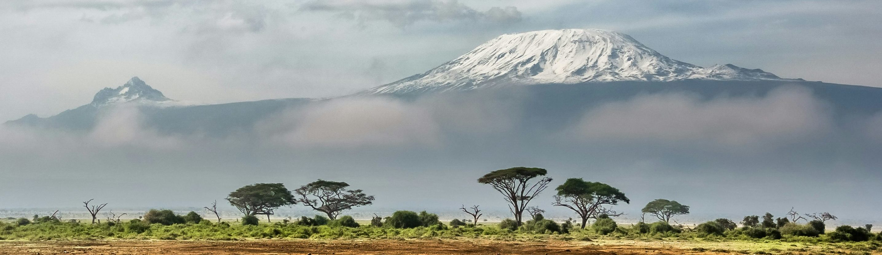 Rondreis Kenia, Amboseli National Park met de Kilimanjaro op de achtergrond