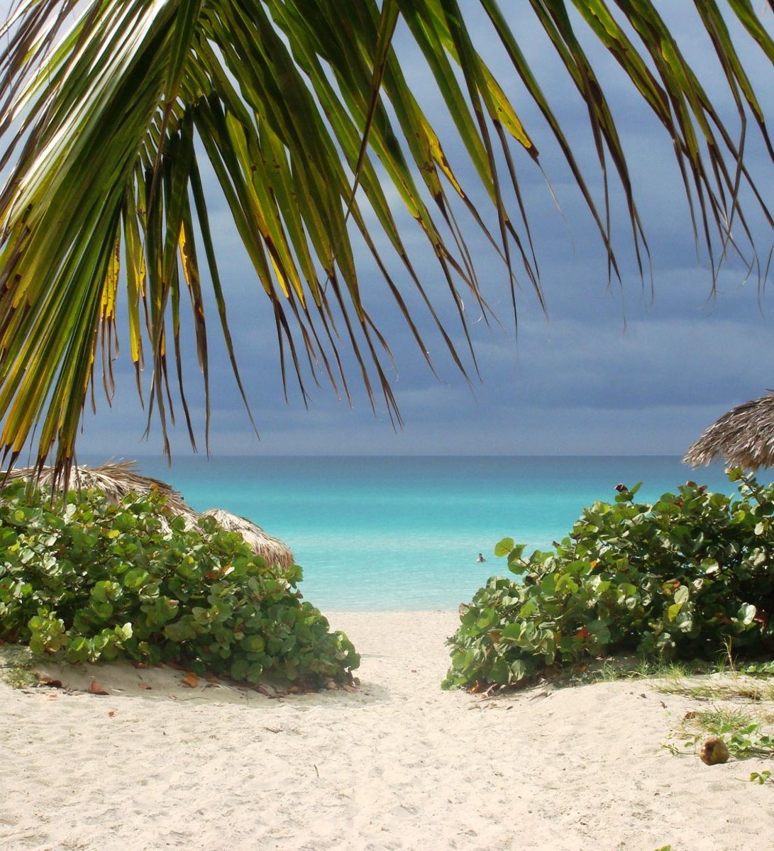 Rondreis Cuba, Varadero, strand met paraplu’s Rondreis Cuba, Varadero, strand met paraplu's
