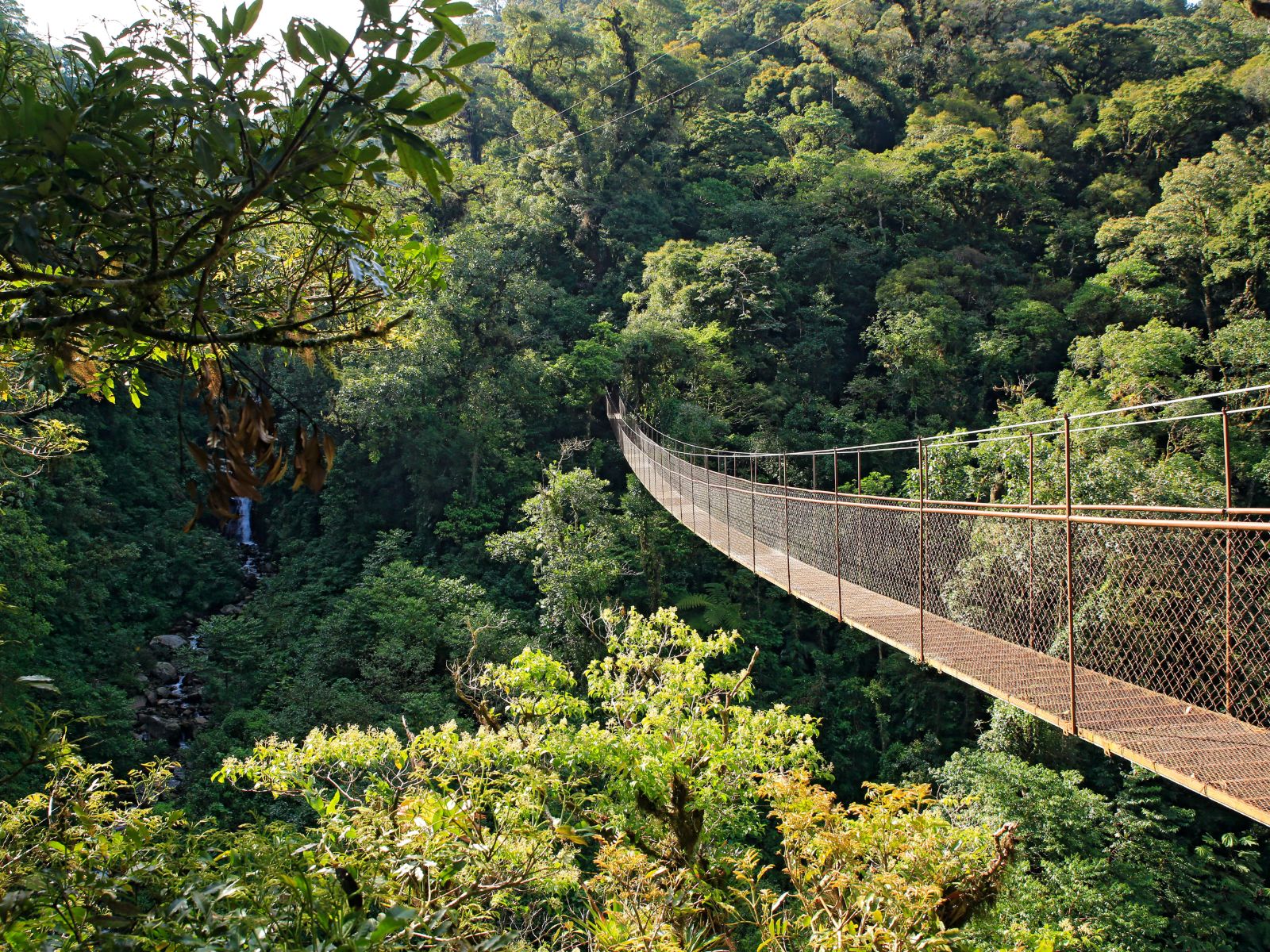 Rondreis Panama, Boquete, brug