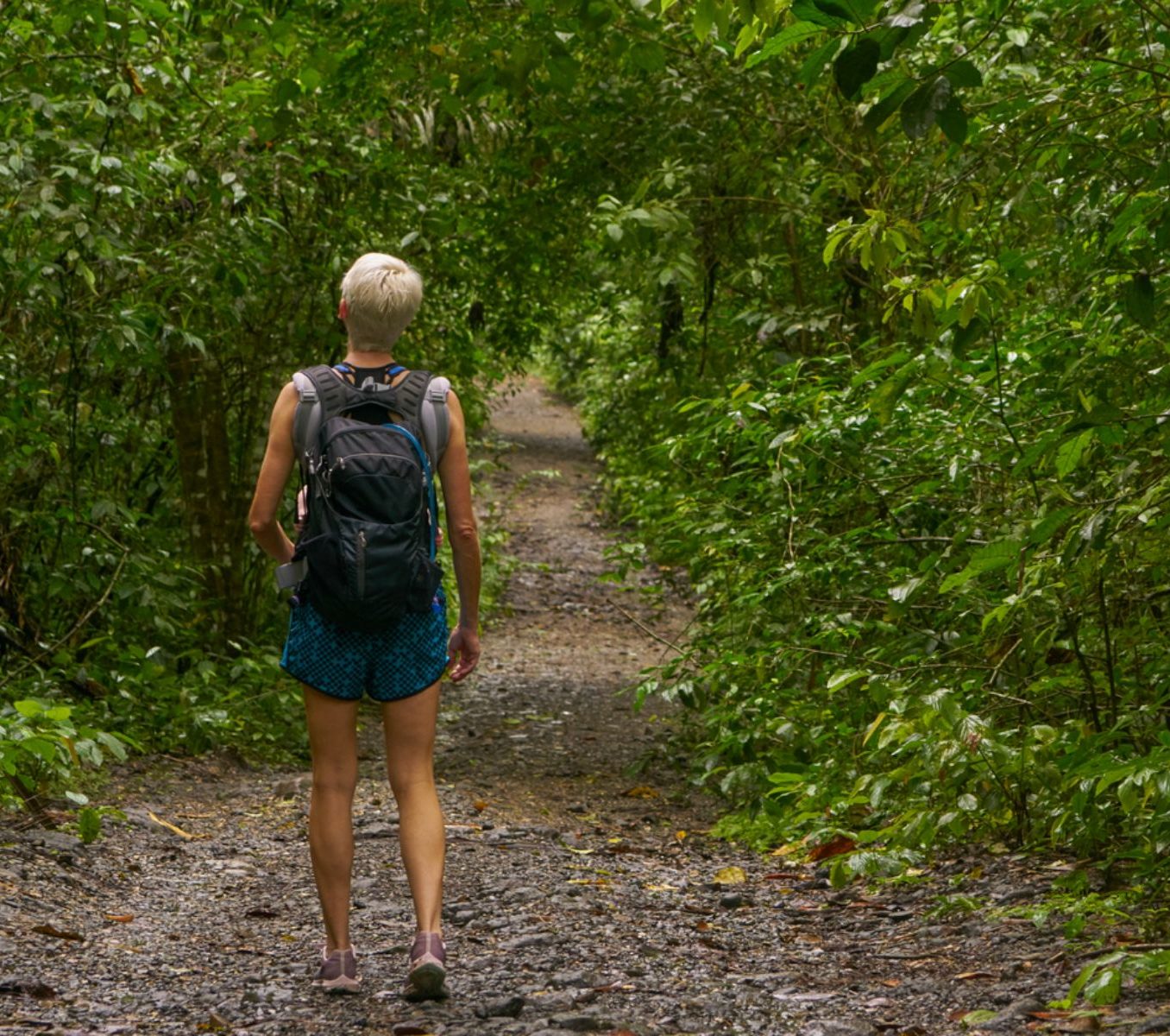 Rondreis Panama, Nationaal Park Soberania, vrouw die wandelt