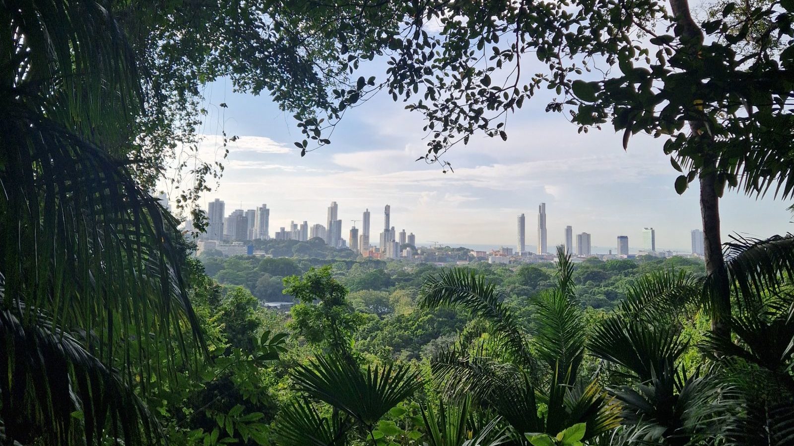 Rondreis Panama, Panama City, Uitzicht op Panama City