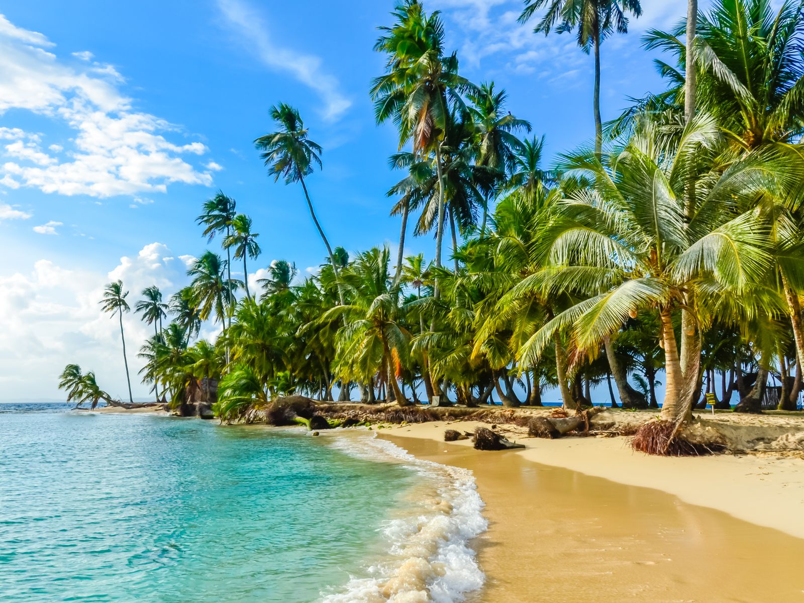 Rondreis Panama, San Blas, strand