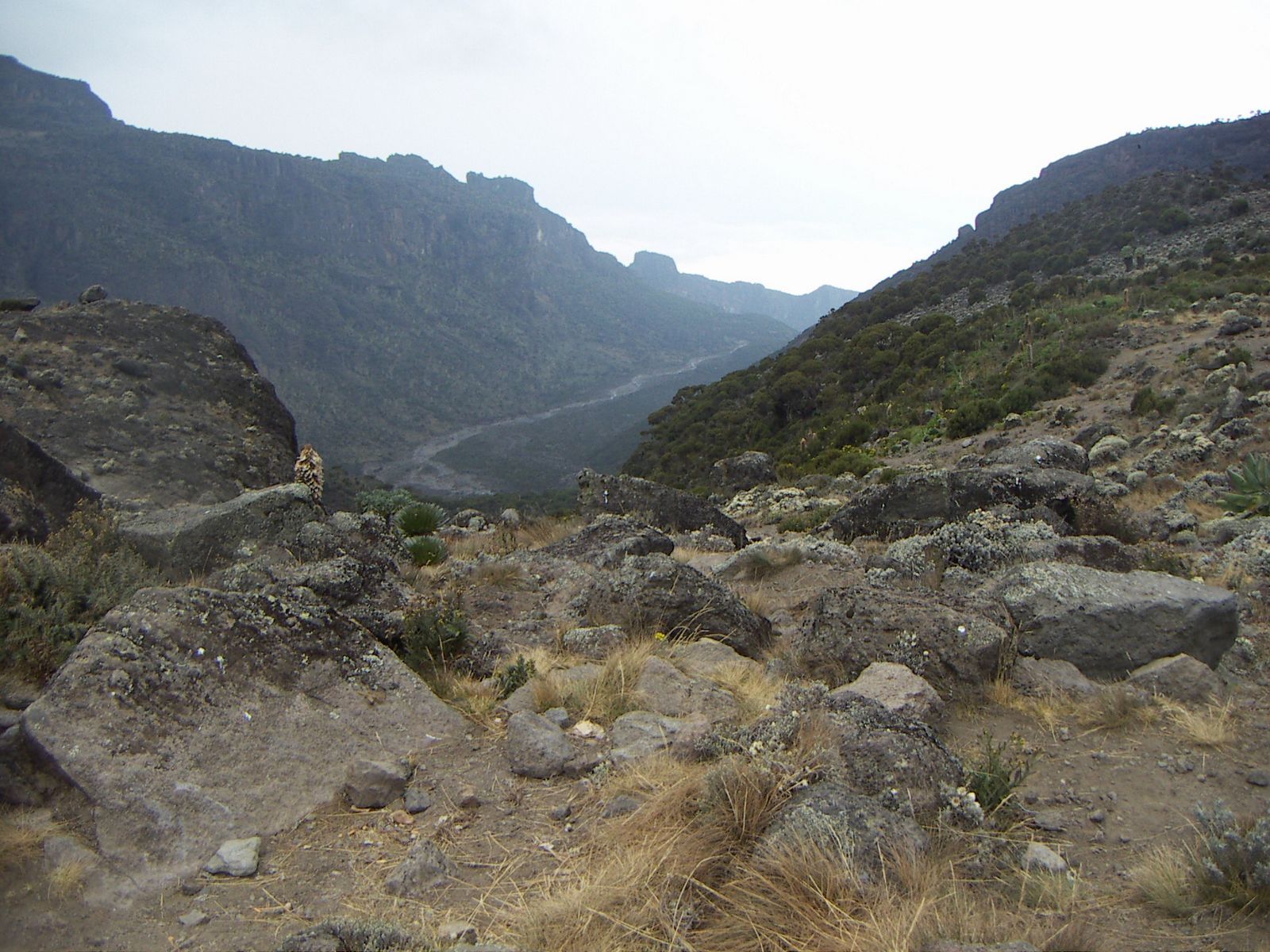 Rondreis Tanzania, Kilimanjaro, vallei
