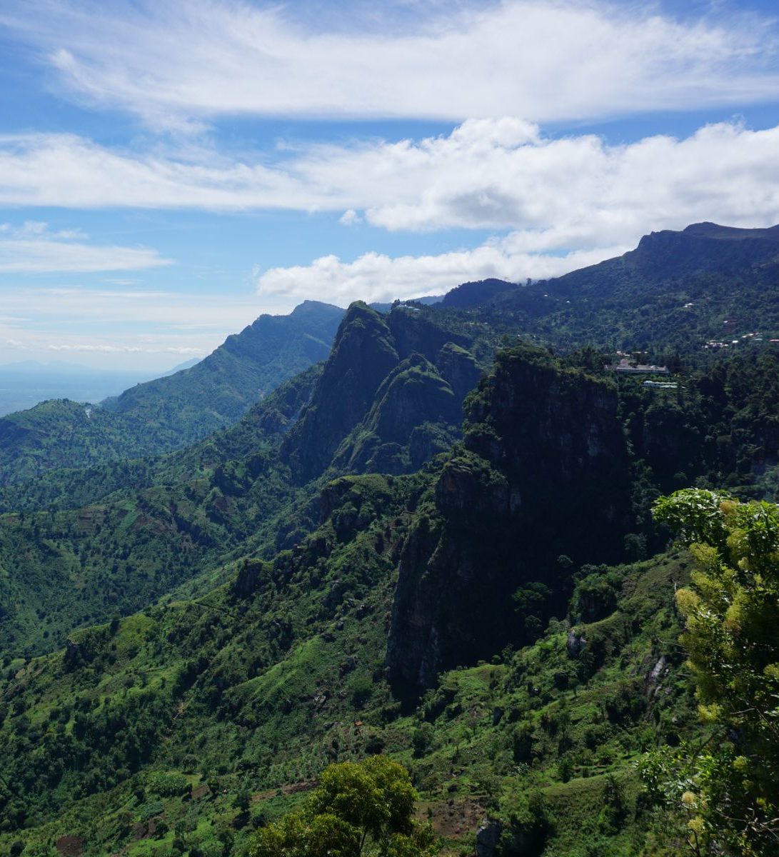 Rondreis Tanzania, Usambara Mountains, groene heuvels Rondreis Tanzania, Usambara Mountains, groene heuvels