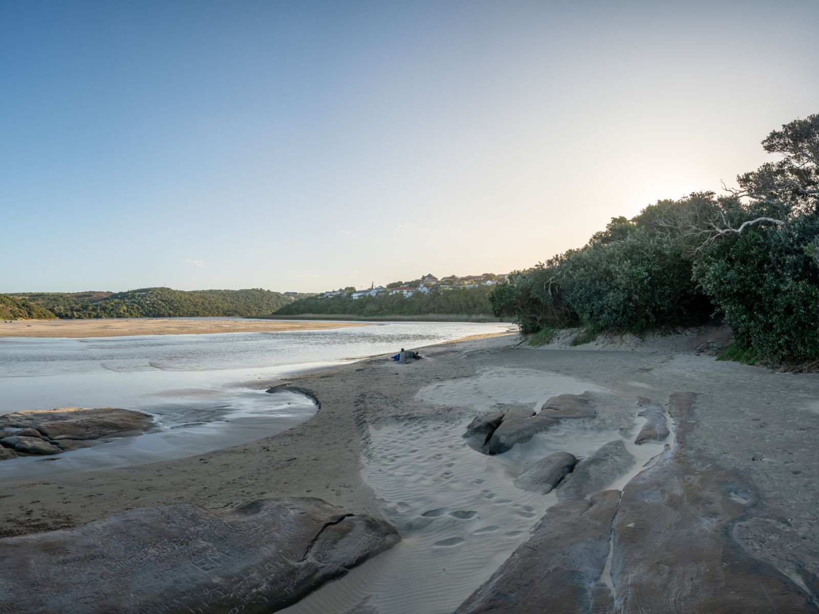 Rondreis Zuid-Afrika, Chintsa, bomen langs het strand