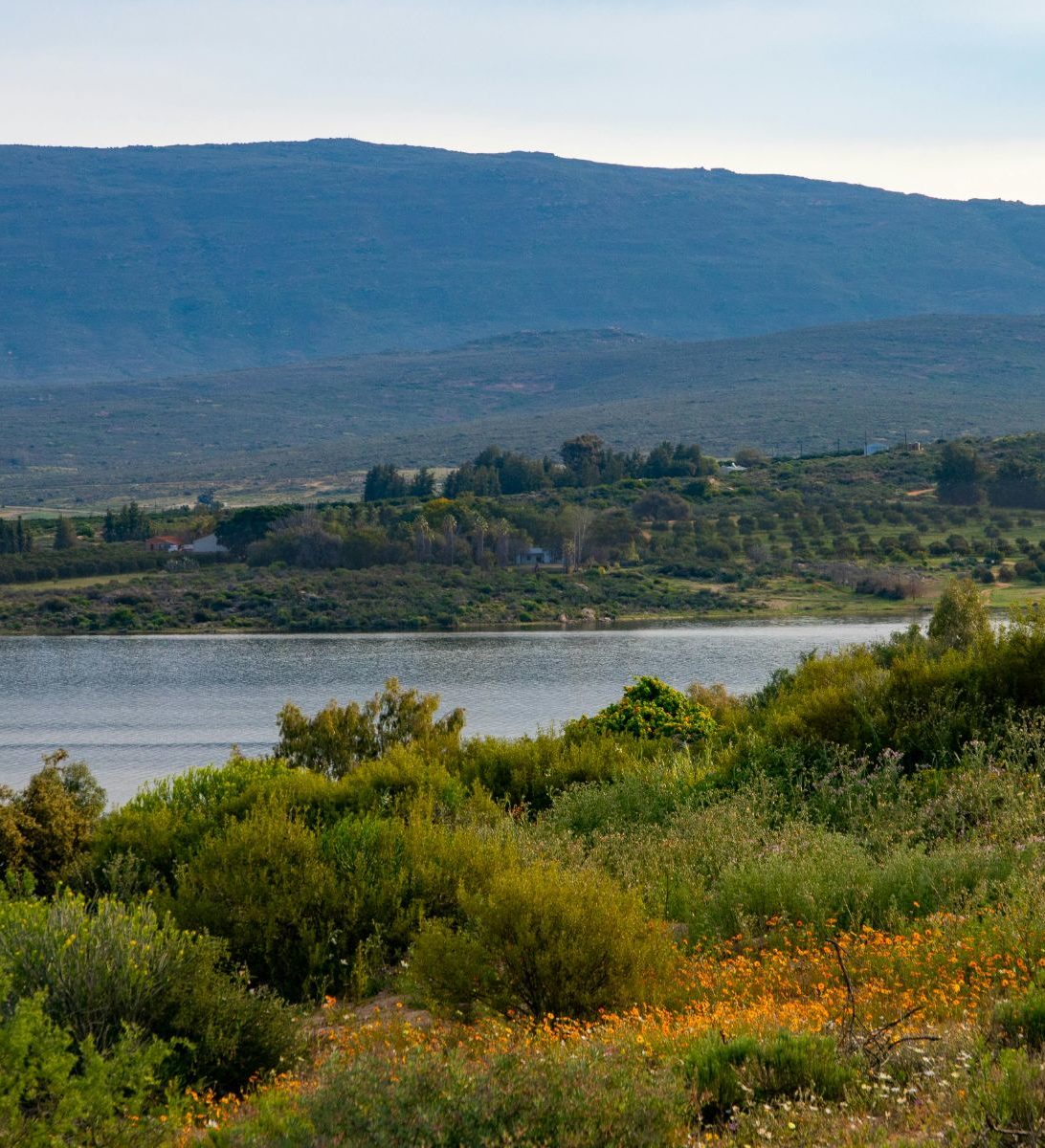 Rondreis Zuid-Afrika, Clanwilliam, meer en natuur Rondreis Zuid-Afrika, Clanwilliam, meer en natuur