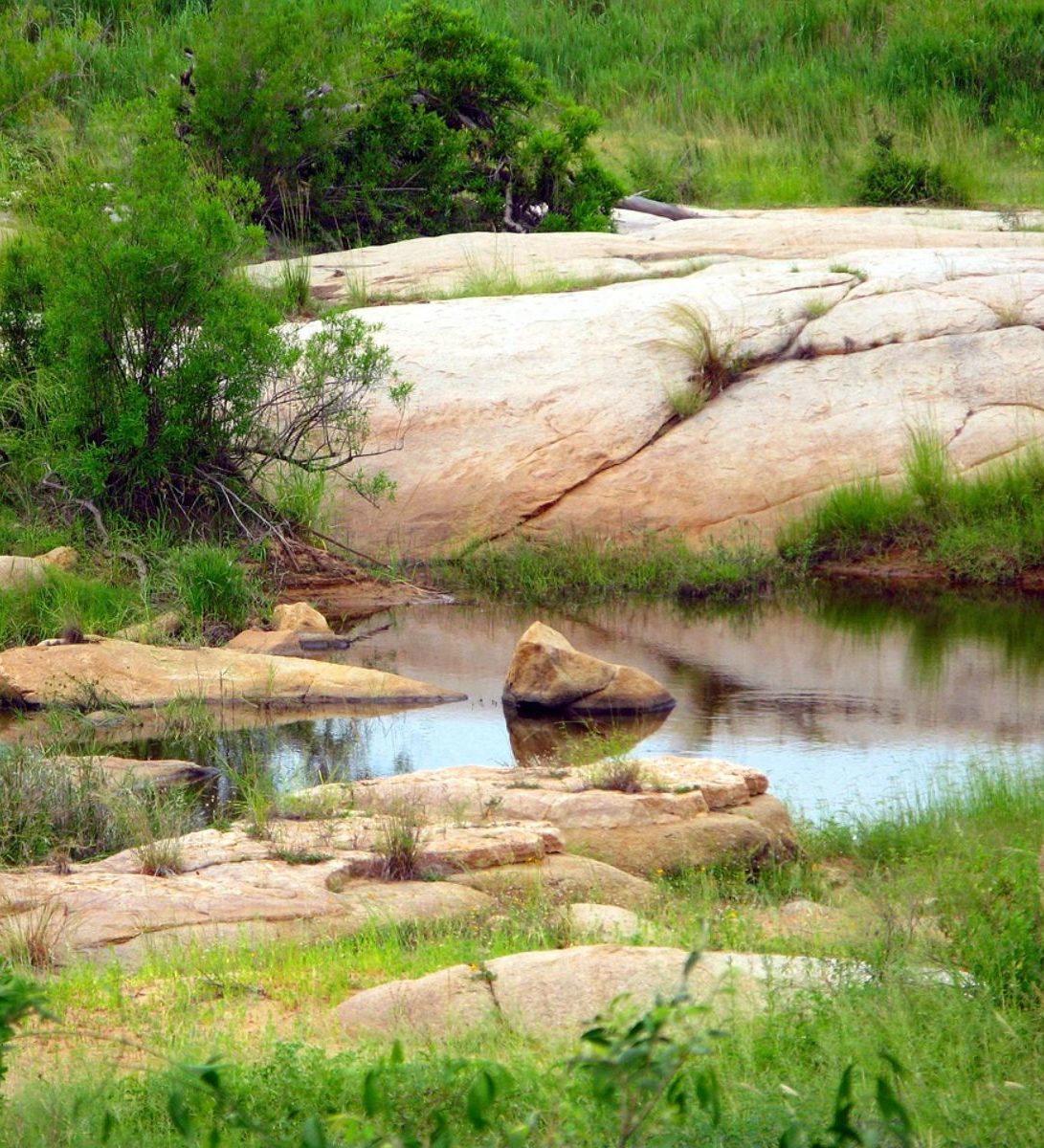 Rondreis Zuid- Afrika, Kruger National Park, waterplaats
