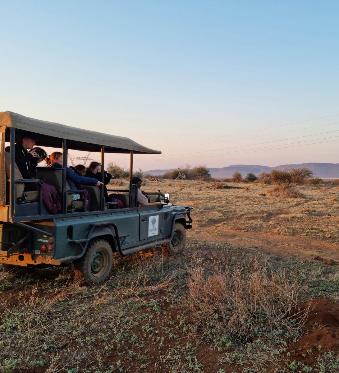 Rondreis Zuid-Afrika, Madikwe, Safari game drive