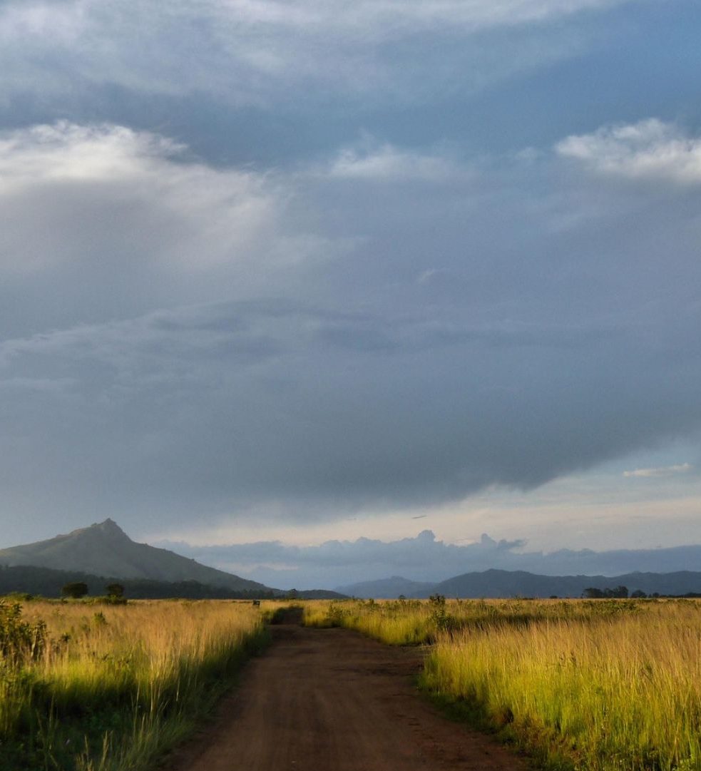 Rondreis Zuid-Afrika, Mlilwane Wildlife Sanctuary landschap Rondreis Zuid-Afrika, Mlilwane Wildlife Sanctuary landschap