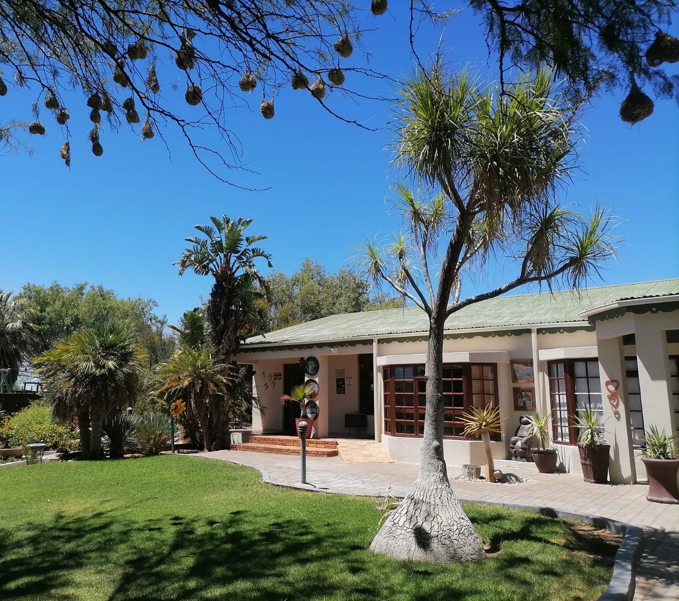 Rondreis Zuid-Afrika, Springbok, Daisy Country Lodge, Buitenaanzicht