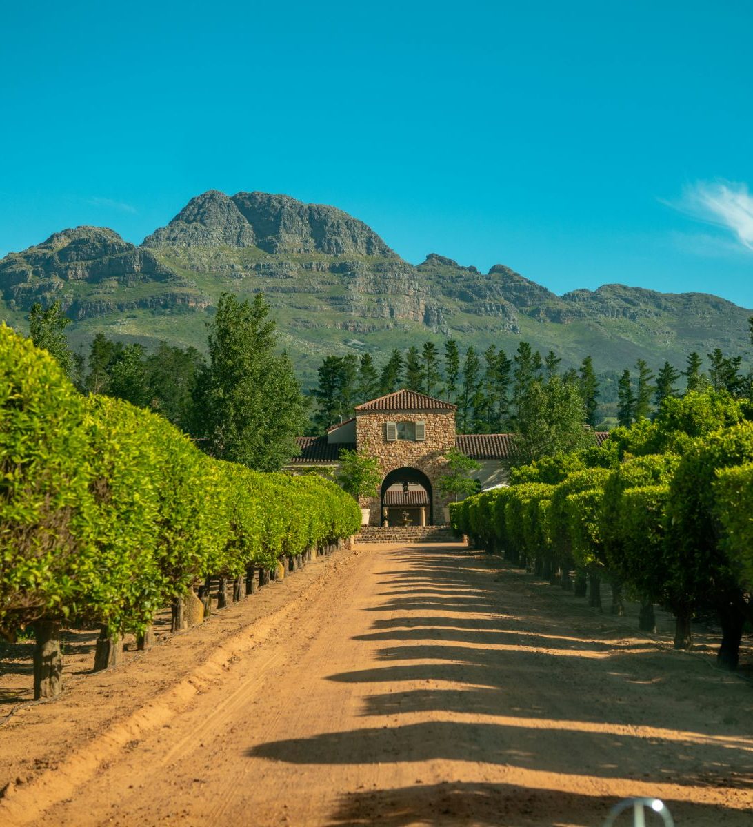 Rondreis Zuid-Afrika, Stellenbosch, wijnhuis en wijngaarden Rondreis Zuid-Afrika, Stellenbosch, wijnhuis en wijngaarden