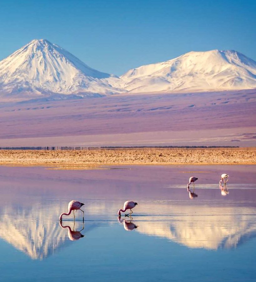 rondreis-chili-san-pedro-de-atacama-hoogtepunt-17-aspect-ratio-1000-563-aspect-ratio-382-420