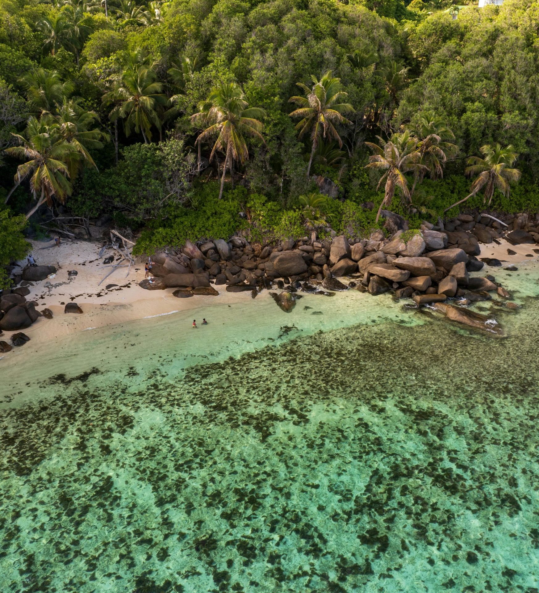 rondreis zuid afrika en sechellen header rondreis zuid afrika en sechellen header
