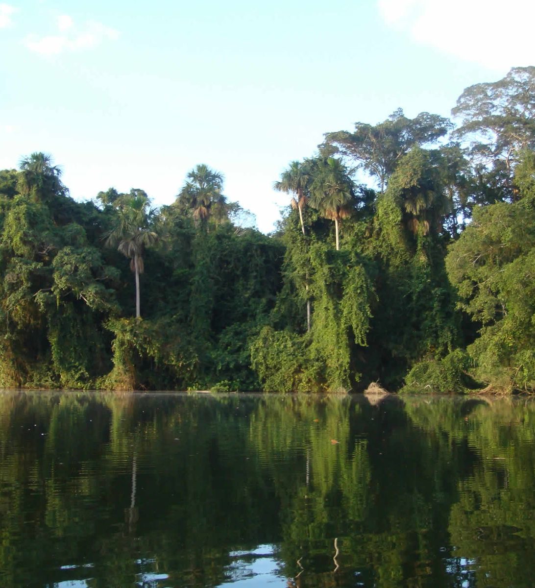 Rondreis Bolivia, Rurrenabaque, meer en regenwoud Rondreis Bolivia, Rurrenabaque, meer en regenwoud