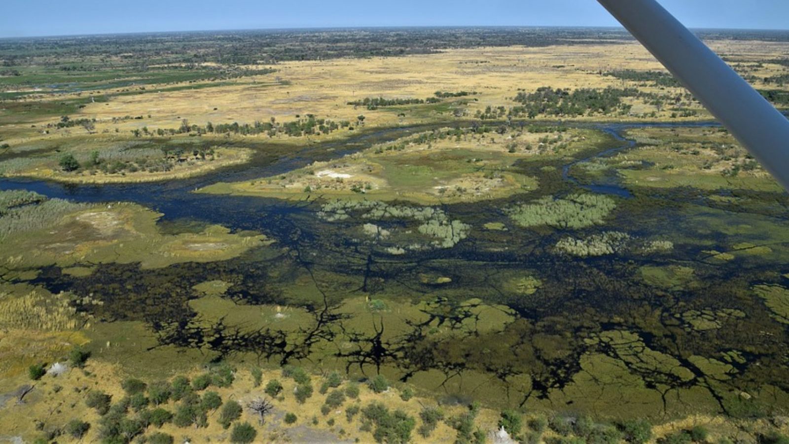 Rondreis Botswana, Maun, bovenaanzicht uit vliegtuig