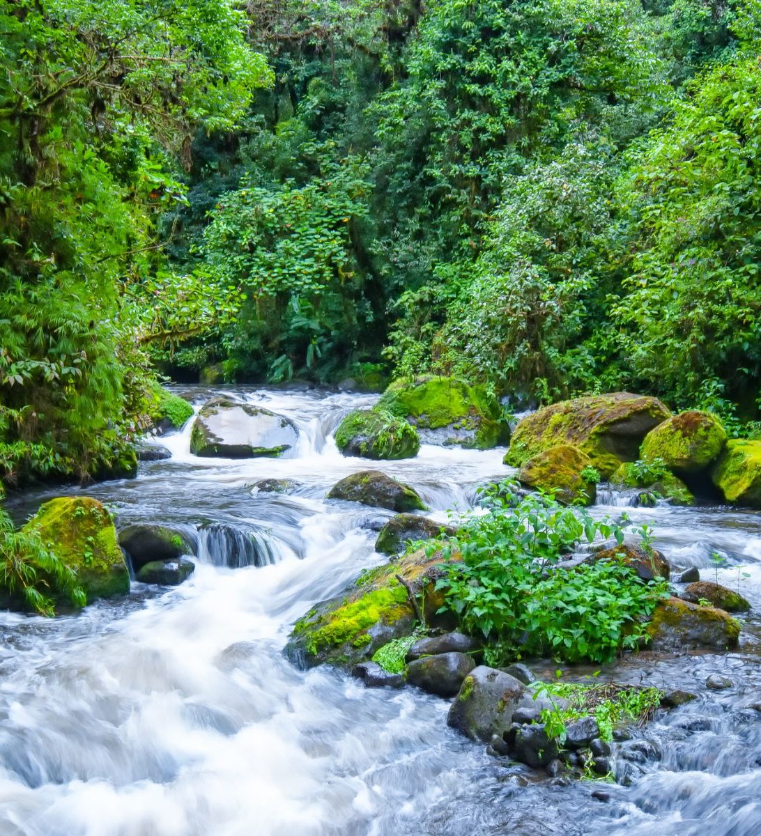 Rondreis Costa Rica, San Gerardo de Dota, Rio Savegre Rondreis Costa Rica, San Gerardo de Dota, Rio Savegre