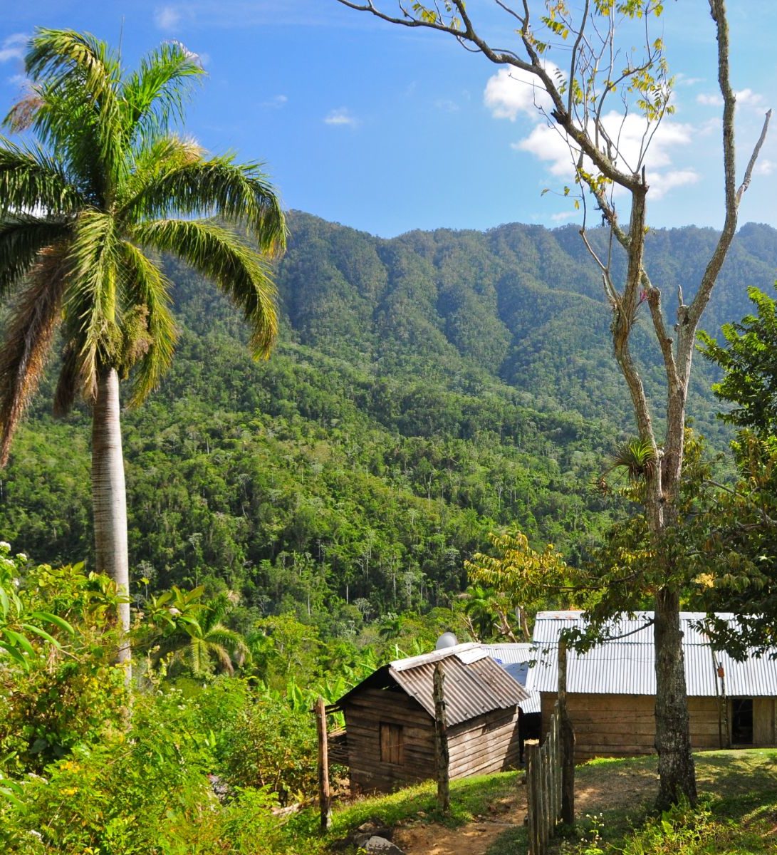 Rondreis Cuba, Sierra Maestra bergen en bos met gebouw op voorgrond Rondreis Cuba, Sierra Maestra bergen en bos met gebouw op voorgrond