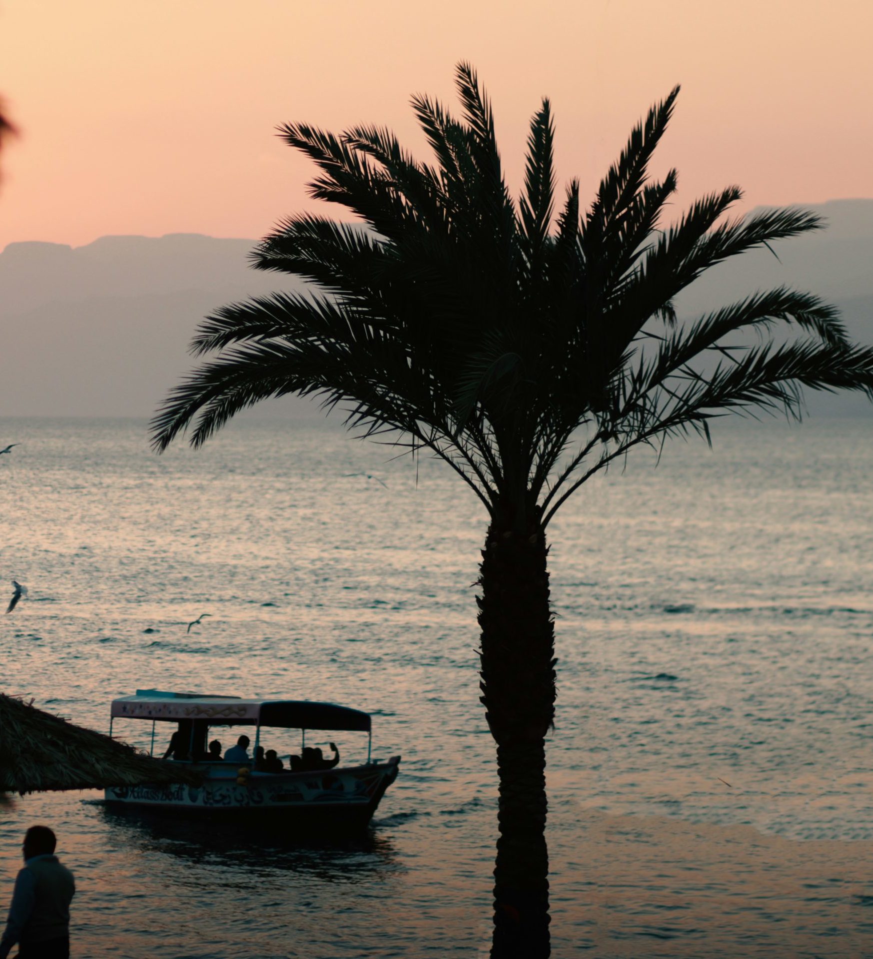 Rondreis-Jordanie-Aqaba-zonsondergang-aan-het-strand-met-palmbomen-en-bootje Rondreis-Jordanie-Aqaba-zonsondergang-aan-het-strand-met-palmbomen-en-bootje