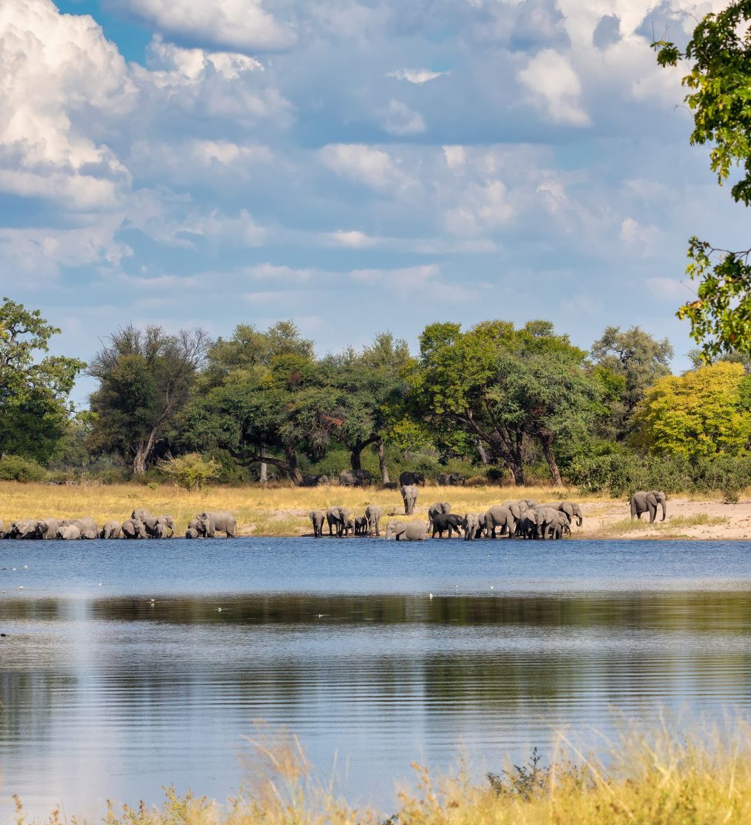 Rondreis-Namibie-Caprivi-rivier-met-olifanten-aspect-ratio-382-420 Rondreis Namibië, Caprivi, rivier met olifanten