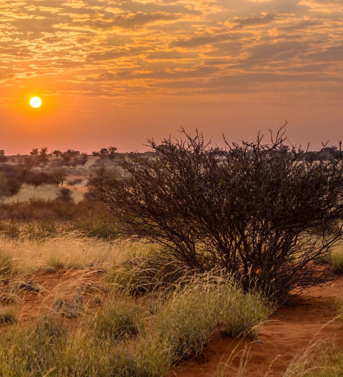 Rondreis-Namibie-Kalahari-vallei-zonsopkomst-aspect-ratio-382-420 Rondreis Namibië, Kalahari, vallei zonsopkomst