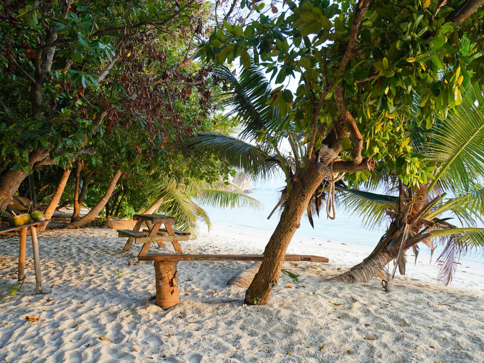 Rondreis Seychellen, La Digue, tafel en een bankje naast het strand