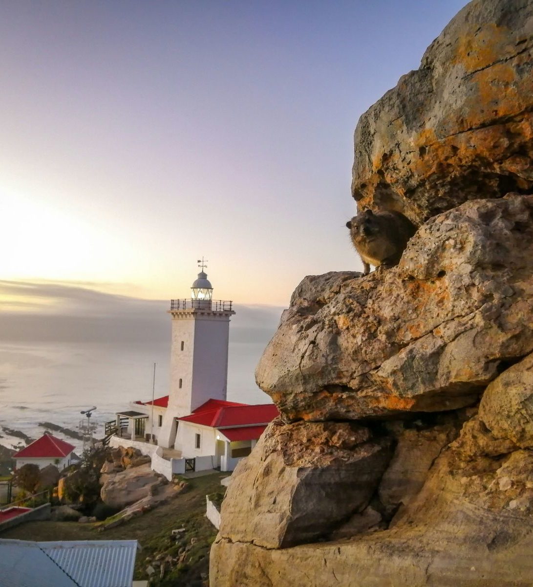 Rondreis Zuid- Afrika, Mossel Bay, vuurtoren, zee en haven vanaf achter de berg Rondreis Zuid- Afrika, Mossel Bay, vuurtoren, zee en haven vanaf achter de berg