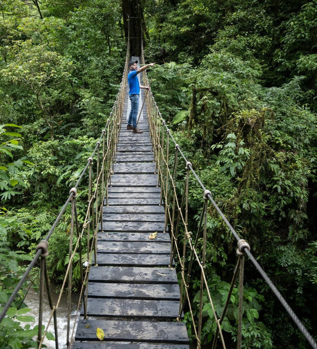 Rondreis-Costa-Rica-Monteverde-man-op-loopbrug-in-het-regenwoud Rondreis-Costa-Rica-Monteverde-man-op-loopbrug-in-het-regenwoud