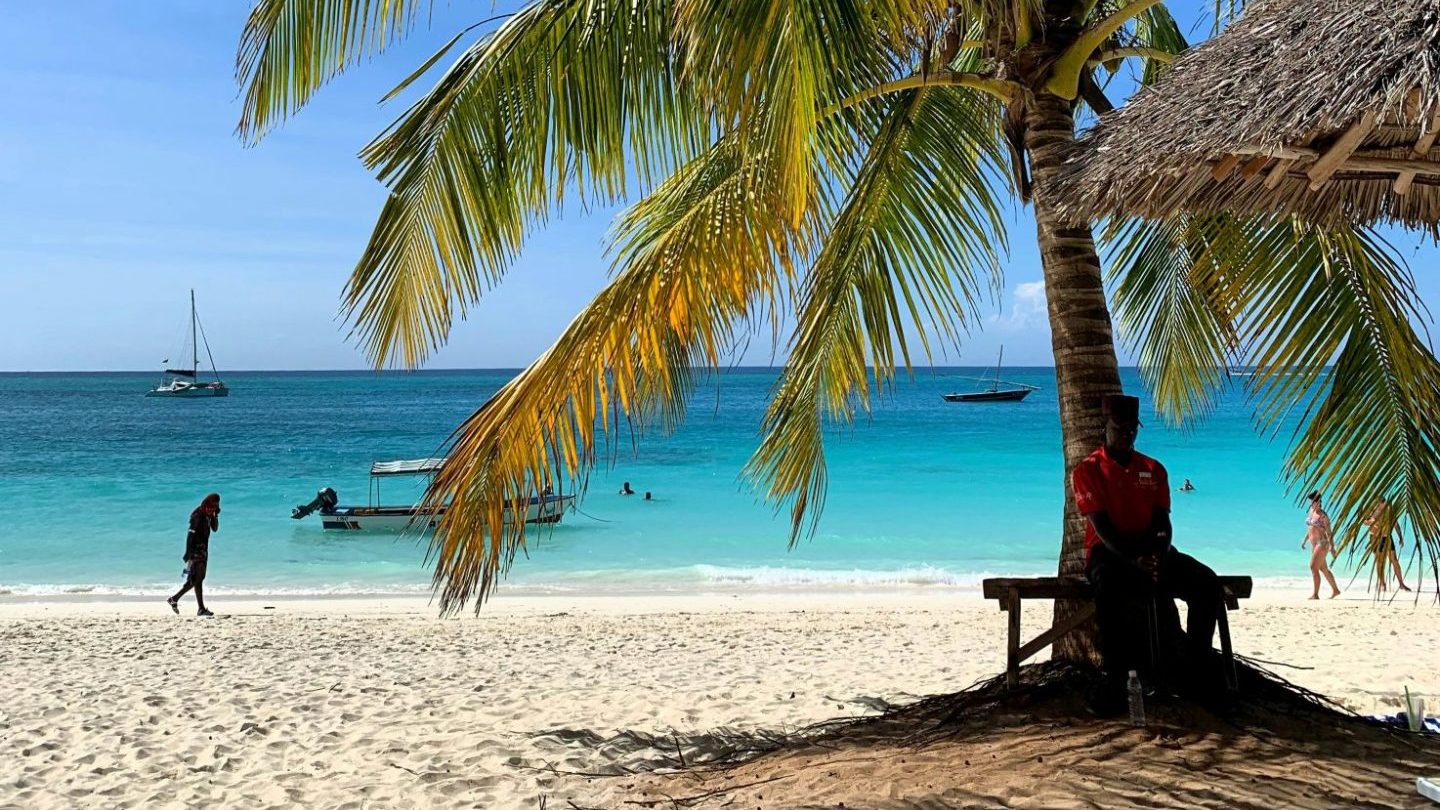Rondreis-Tanzania-Zanzibar-strand-met-palmboom-aspect-ratio-1000-563