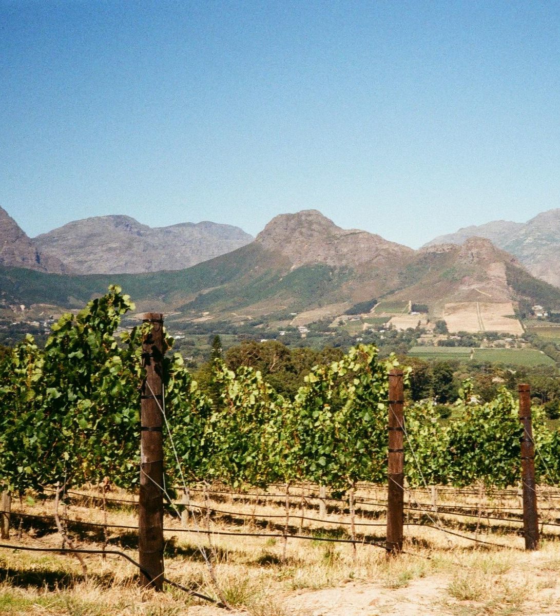 Rondreis-Zuid-Afrika-Franschhoek-wijngaard-met-uitzicht-op-de-bergen Rondreis-Zuid-Afrika-Franschhoek-wijngaard-met-uitzicht-op-de-bergen